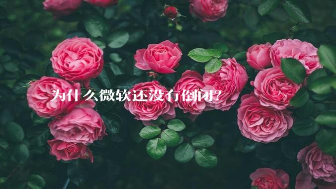 为什么微软还没有倒闭？